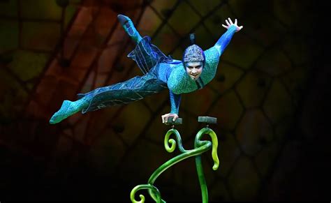 Top New Cirque Du Soleil OVO Show In Riyadh Starts Oct 2022