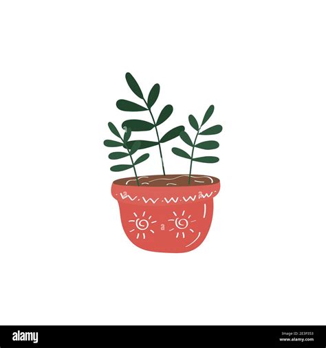 House Plant Flowers In Pot Ficus Icon Hand Drawn Vector Doodle