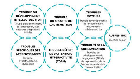 H91 Définition Des Troubles Du Neurodéveloppement Tnd Fiches Conseils Professionnel De