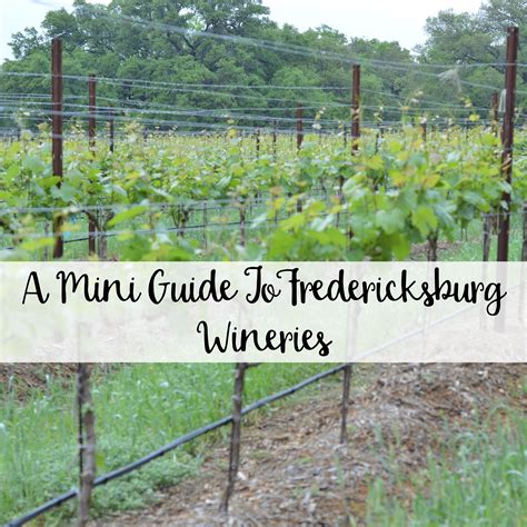 A Mini Guide To Fredericksburg Wineries - The Wandering Weekenders