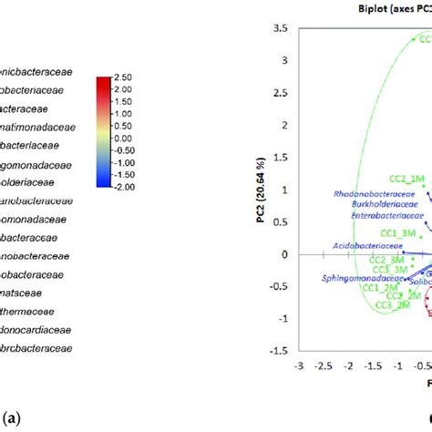 A Hierarchically Clustered Heat Map Of Relative Abundances Of