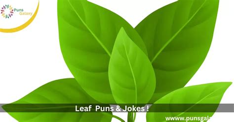 Laughs Leaf Jokes Puns