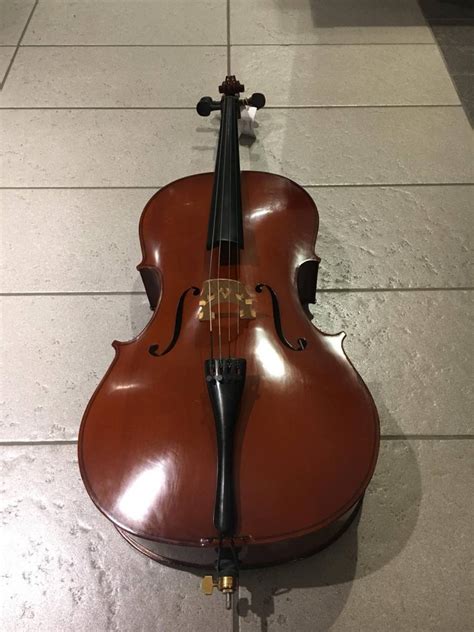 Roling S Violoncello Zecchini Strumenti Musicali