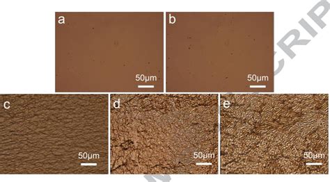 Figure 2 From Fabrication Of Oriented Wrinkles On Polydopamine