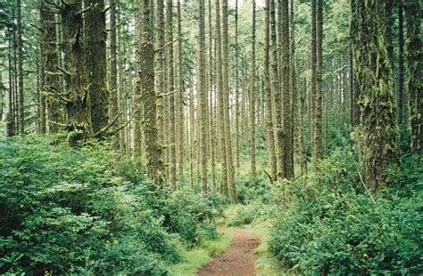 Point Reyes Hiking Trails (Point Reyes Station, CA): Award Winning ...