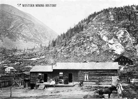 Myers Cabin Montgomery Colorado Western Mining History