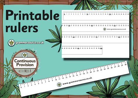 Continuous Provision Maths Printable Rulers Grammarsaurus