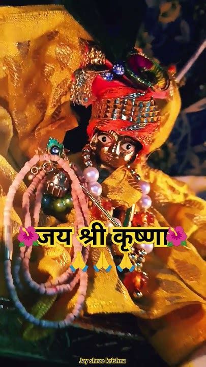 भगवान् श्री कृष्ण कहते हैं 🌺 Krishna🌿krishna🌿🙏