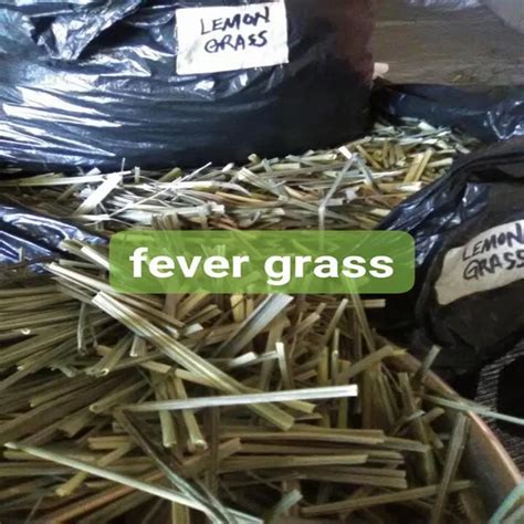 Green Dried Lemongrass Leaves Packaging Type Plastic Packaging Size