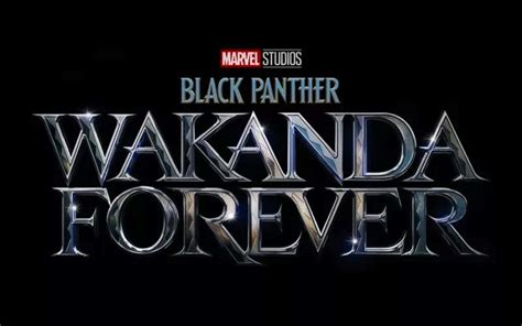 Black Panther 2 Release Date News, Cast, Trailer, and More! - FanBolt