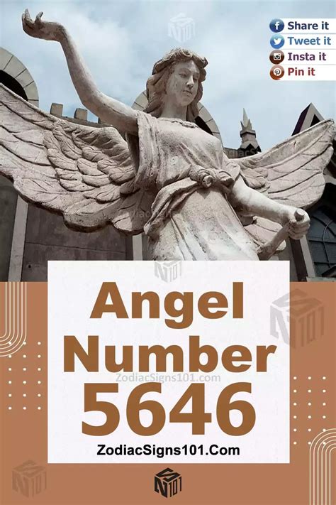 5646 Angel Number Spiritual Meaning And Significance - ZodiacSigns101