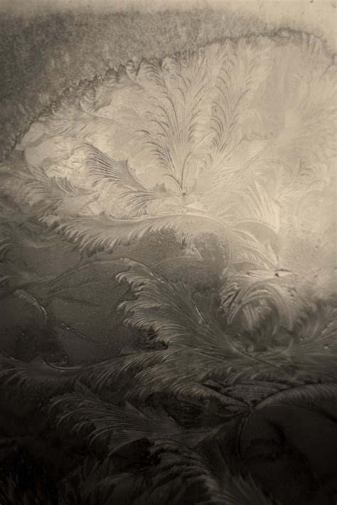 Creationists Challenge The Definition Of Vestigial Structures - RYZE Superfoods