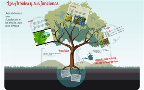 Details 48 funciones de los árboles Abzlocal mx