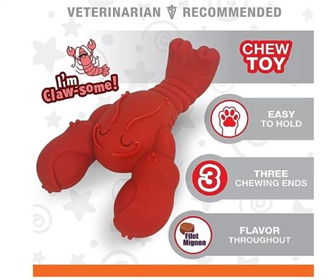 Nylabone Strong Chew Ring Braided Toy Beef Medium/Wolf