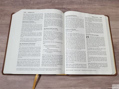 Berean Study Bible Review - Bible Buying Guide