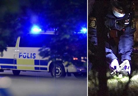 Tre Tonåringar Häktade Gömde Flera Pistoler I Skogen Telgenytt