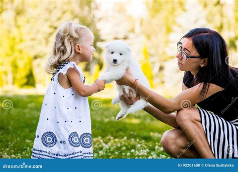 Petite Fille Embrassant Sa Race De Samoyed De Chiot Photo Stock Image