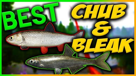 Russian Fishing 4 BEST CHUB BLEAK SPOT AND BEST BAIT ON OLD BURG