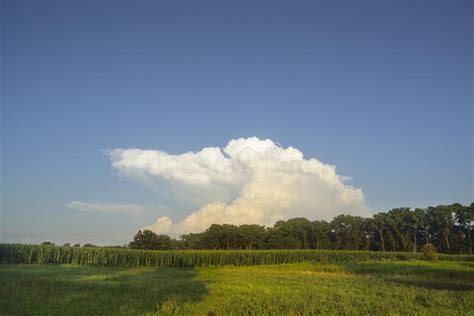 Nuvens De Tempestade Sobre O Campo De Milho Foto De Stock Imagem De