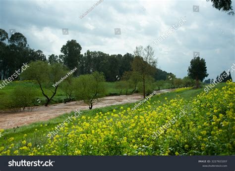 3 Jordan River Overflowing Images, Stock Photos & Vectors | Shutterstock