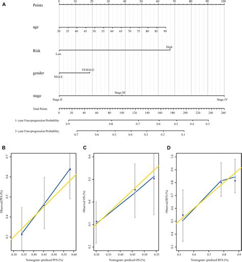 Frontiers A Novel CpG Methylation Risk Indicator For Predicting