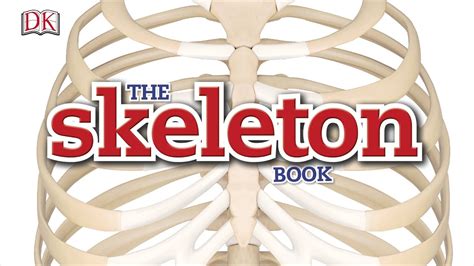 The Skeleton Book What Are Bones Made Of Youtube