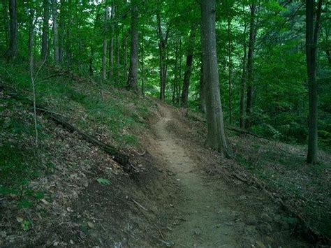 Hoosier National Forest