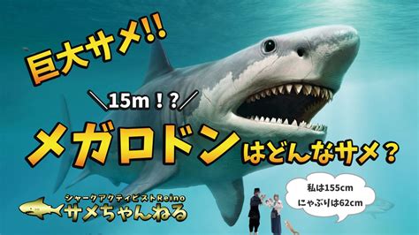 巨大なサメ！メガロドンはどんなサメ？実在したの？ シャーク・アクティビストreinoのサメちゃんねる