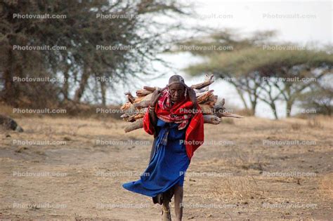 Woman Labor Firewood Deforestation Tanzania Photo