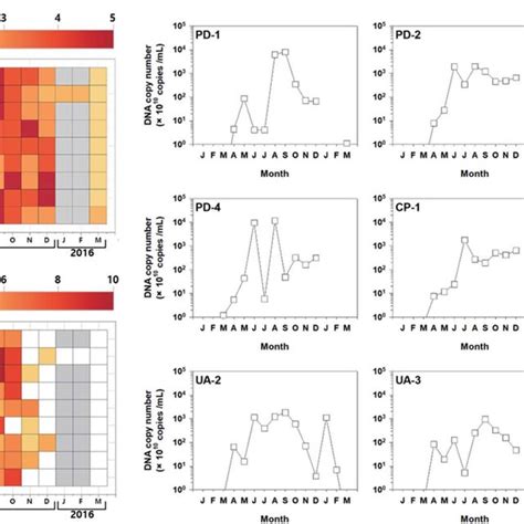 Spatio Temporal Distribution Of Microcystin Producgin Gene Mcya And