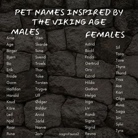 Pet Names Inspired by the Viking Age | Best character names, Names ...