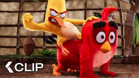 Free Clip Angry Birds Download Free Clip Angry Birds Png Images Free Cliparts On Clipart Library