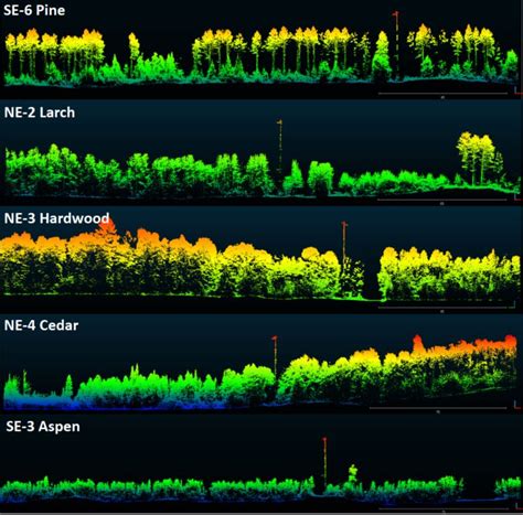 Characterizing Tree Canopy Structure In Northern Wisconsin Lidar Magazine