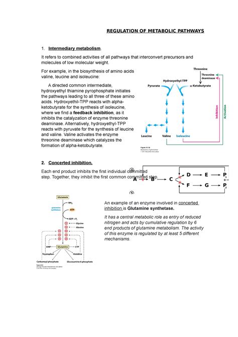 1. Regulation of metabolic pathways - REGULATION OF METABOLIC PATHWAYS ... 