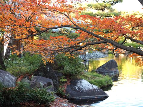 姫路城西御屋敷跡庭園 好古園 紅葉 By 磯釣り師100 （id：11493323） 写真共有サイトphotohito