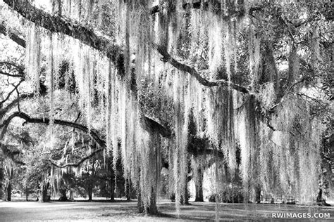 Fine Art Photography Prints | | | | | Louisiana Plantations - Color ...