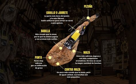 Cuáles son las partes de un Jamón ibérico