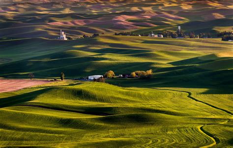 Wallpaper Hills Field Usa Farm Steptoe Butte State Park For Mobile