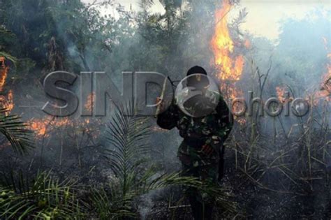 Musim Kemarau Tahun Ini Lebih Kering Bmkg Waspada Kebakaran Hutan Dan