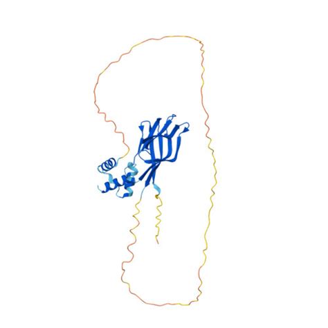 RCSB PDB AF AFQ61937F1 Computed Structure Model Of Nucleophosmin