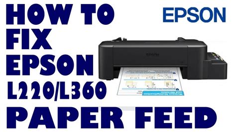 Why Won't My Epson Printer Feed Paper at Bernadette Preusser blog