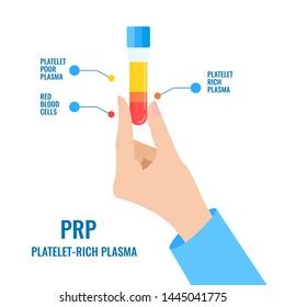 Doctor Holding Test Tube Filled Blood Stock Vector Royalty Free