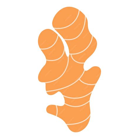 Premium Vector | Ginger healthy vegetarian food isolated vector