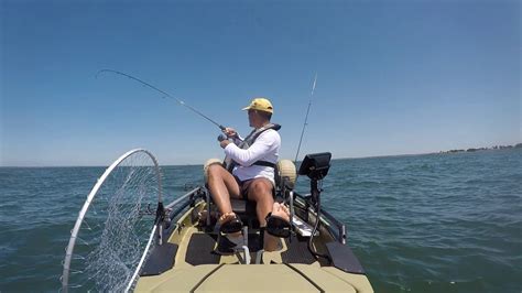 Pêche du bar à la traîne en kayak La Plaine sur mer 70 cms 3 5 kgs