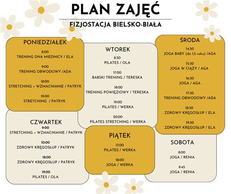 Kameralne Zaj Cia Bielsko Bia A Fizjostacja Bielsko Bia A