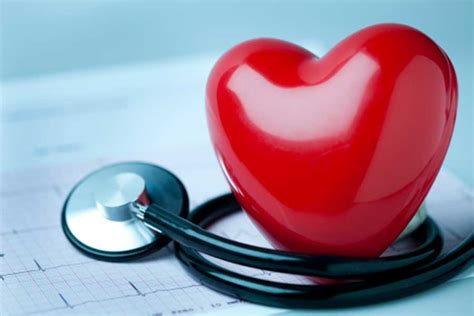 Cardiologist Visits What You Need To Know For Your Next Appointment