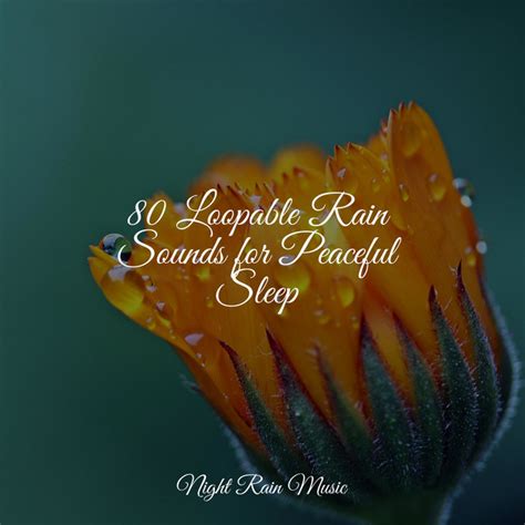 Loopable Rain Sounds For Peaceful Sleep Album By Oasis Of