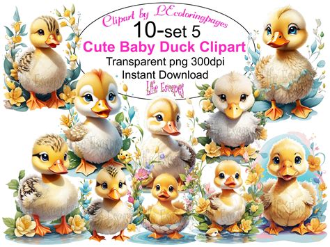 Printable Cute Baby Duck Clipart Bundle Set 5 PNG Commercial Use