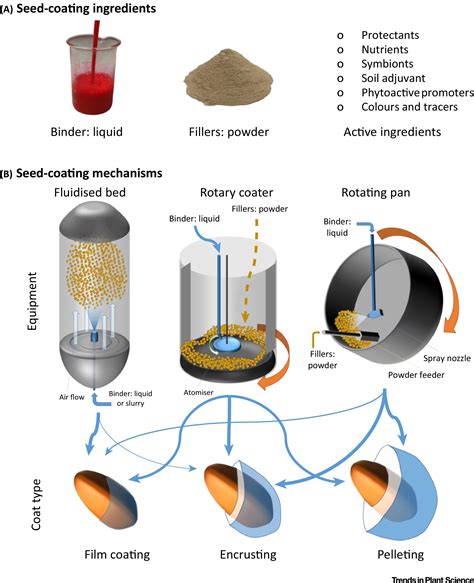 Seed Coating Science Or Marketing Spin Trends In Plant Science