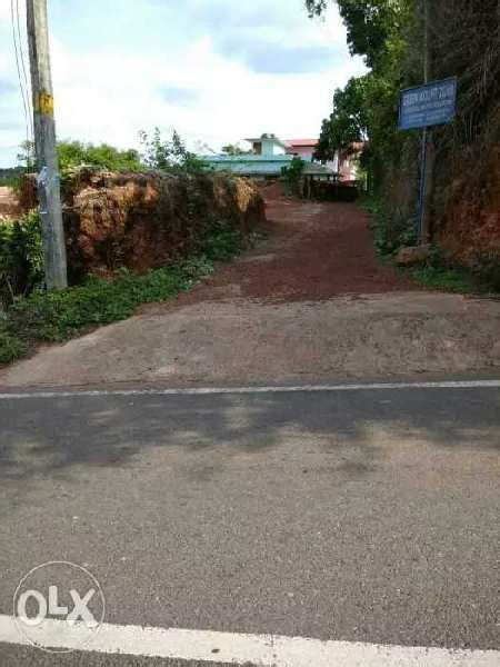 Residential Plot 11 Cent For Sale In Taliparamba Kannur REI768493